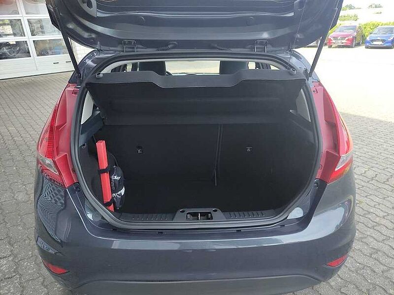 Ford Fiesta Champions Edition